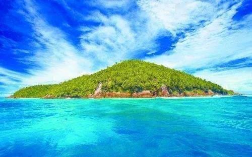 新秀的天花板，邓肯伯德领衔，盘点新秀赛季就入选一阵的6大巨星