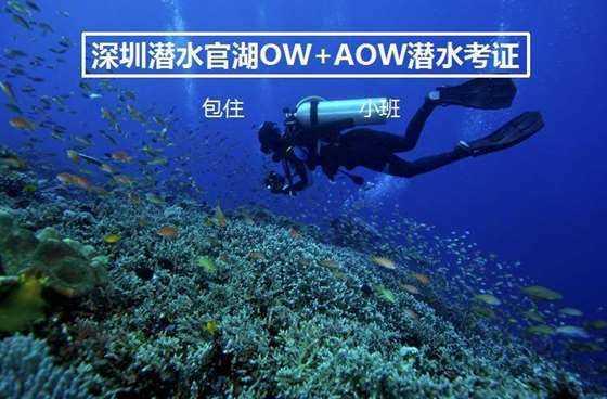 超黄金铠甲