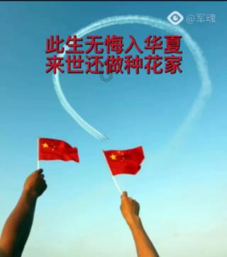 逃出茂密的丛林