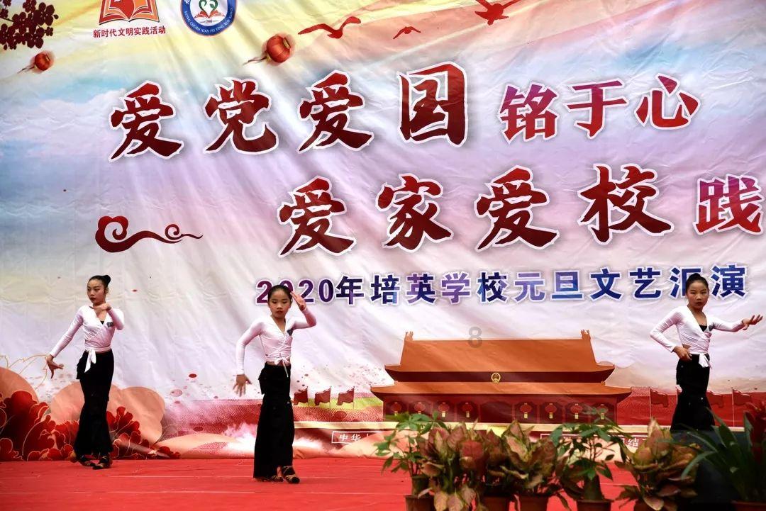 救援袋鼬