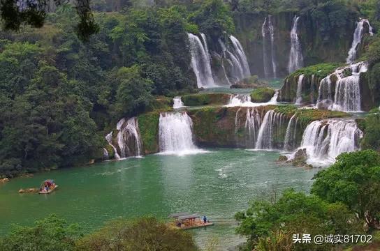 冷知识分享平台-空气凤梨如何养,探索未知的知识宝藏