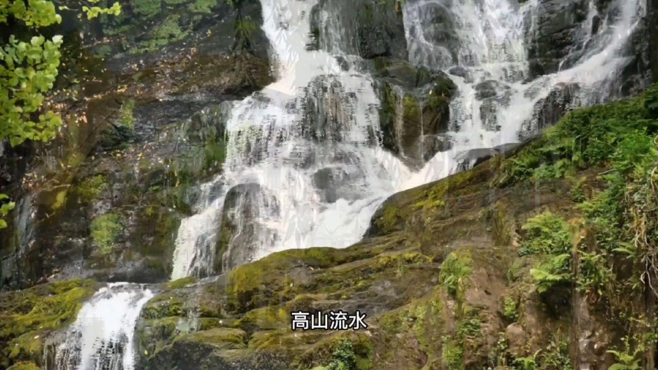 脐橙是什么意思啊游戏画面